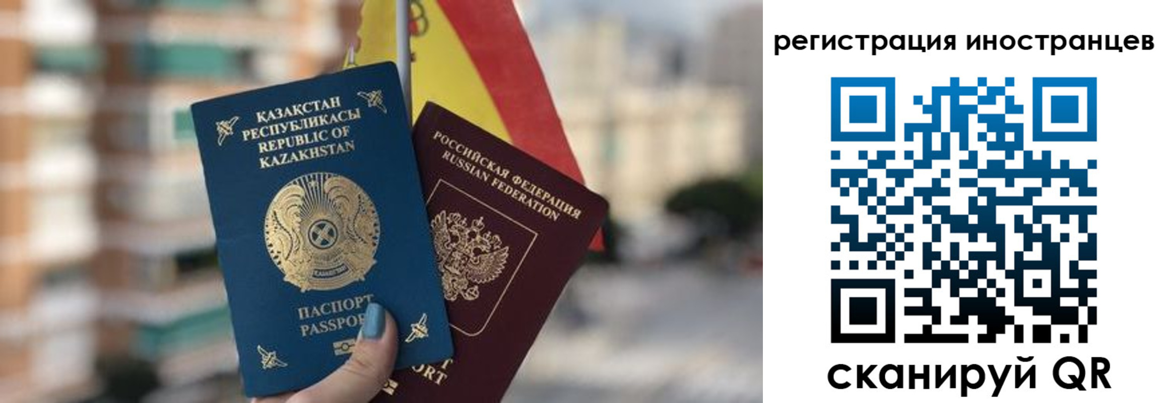 прописка паспорт в Новгородской области